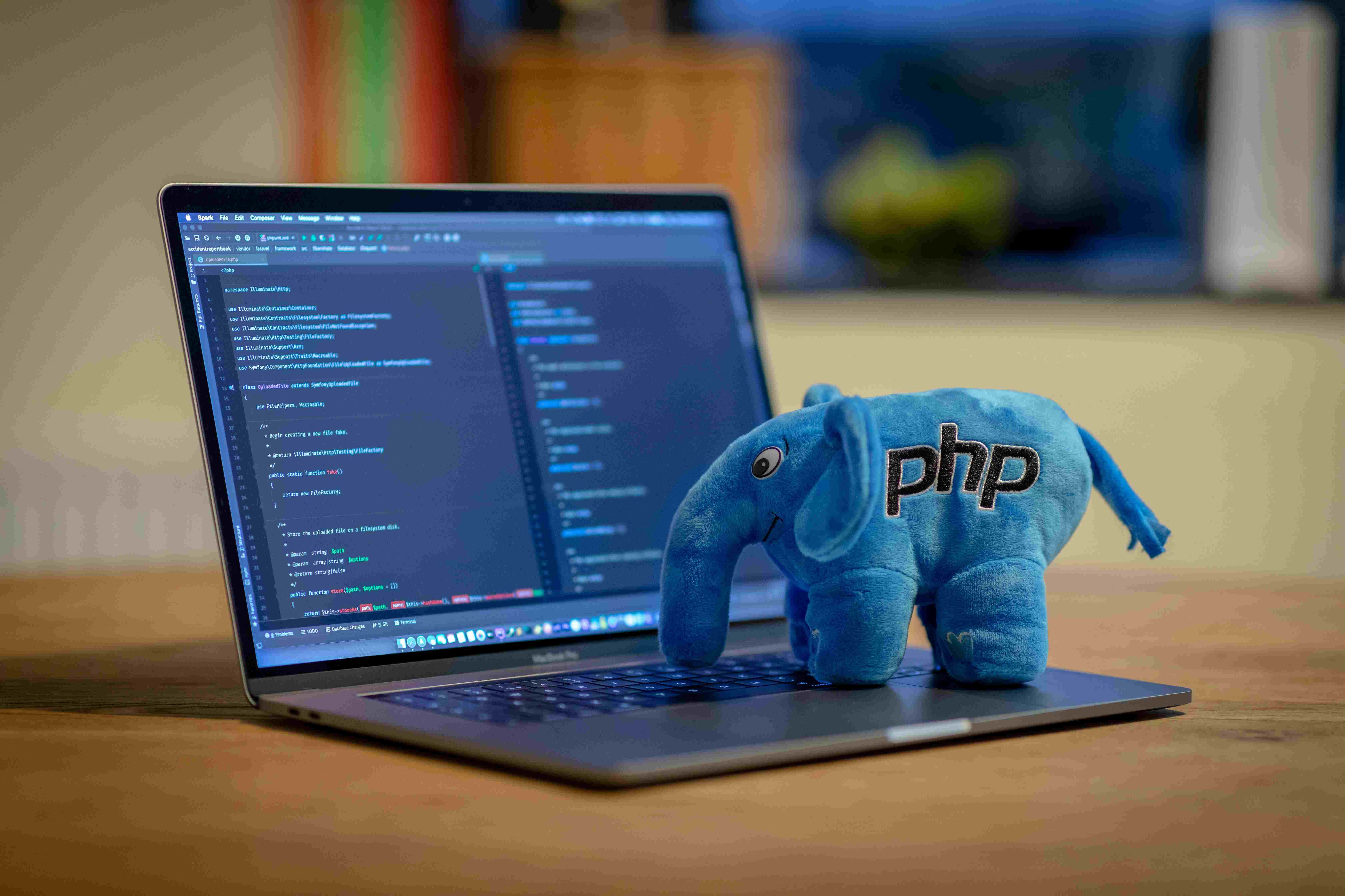 Web Development Services